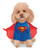 DC Comics Pet Costume X Large Superman