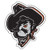 Craftique Oklahoma State Decal  Shadow PETE Decal  4  6  12    12
