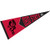 Ohio State Buckeyes Retro Vintage and Throwback Pennant