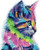 DoMyArt Acrylic Paint by Number Kits for Adults Beginners DIY Painting   Painted Cat 16X20 Inch