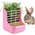 STKYGOOD Rabbit Feeder Bunny Guinea Pig Hay FeederHay Guinea Pig Hay FeederChinchilla Plastic Food Bowl Pink