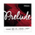 D Addario Prelude Violin Single D String 4 4 Scale Medium Tension