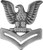 US Navy Petty Officer 2nd Class  left  E 5 Lapel Pin or Hat Pin  metal 1