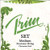 Prim 4 4 Violin String Set   Medium Gauge with Ball end E