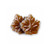Premium Canadian Maple Sugar Hard Candy Drops Made from Pure Maple Syrup from Canada   Tristan Foods  1 lb
