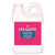 Gel Gloss RV GG 64 Polish and Protector 64 oz