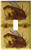 Art Plates - Brown Frogs Switch Plate - Single Toggle