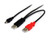 StarTechcom 3 ft USB Y Cable for External Hard Drive   USB A to Mini B   USB Cable   USB  M  to Mini USB Type B  M    USB 20   Black  USB2HABMY3