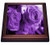 3dRose Three Dusty Purple Roses Trivet with Ceramic Tile 8 by 8  Brown