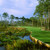 Posterazzi Trees course Kilmarlic Golf Club Powells Point Currituck County North Carolina USA Poster Print  24 x 24
