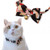 Necoichi Chirimen Kimono Bow Tie Cat Collar  Black