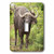 3dRose lsp 70869 1 Water Buffalo Hluhulwe Game Reserve South Africa Single Toggle Switch