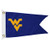 NCAA West Virginia Mountaineers Boat Golf Cart Flag