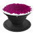 Beautiful Pink Chrysanthemum Flower White Background PopSockets Grip and Stand for Phones and Tablets Beautiful Pink Chrysanthemum Flower White Background PopSockets Grip and Stand for Phones and Tablets