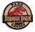 Dinosaur Logo Emblem 2 3 4  Wide Ironed or Sewn On Embroidered Patch