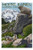 Mount Rainier National Park Washington   Marmots  Premium 1000 Piece Jigsaw Puzzle for Adults 19x27