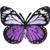 C D Visionary CDX Butterfly Light Purple Patch Multi Color