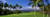 Palm trees in a golf course Wailea Emerald Course Maui Hawaii USA Poster Print  36 x 12
