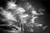 Posterazzi PSTRFF200926S Surrealism Skeleton with Clouds on a Background Photo Print 11 x 17 Multi