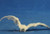 Cloaker 77391   Dark Heaven Bones   Reaper Miniatures?D D Wargames Monster Demon  G fbhre h4 8rdsf tg1306704