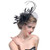 Fascinators Hair Clip Hairpin Women Girls Fascinators Hat Bridal Netting Mesh Feather Headpiece Vintage Flower Headband Cocktail Tea Party Ball Wedding Headwear Bridal Tiaras Hair Accessory Decro Fascinators Hair Clip Hairpin Women Girls Fascinators Hat Bridal Netting Mesh Feather Headpiece Vintage Flower Headband Cocktail Tea Party Ball Wedding Headwear Bridal Tiaras Hair Accessory Decro