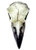 Alchemy Gothic Reliquary Raven Skull White