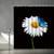AMFD Daisy Shower Curtain White and Yellow Spring Daisy Flower Butterfly Black Background Fashion Home Bathroom Curtains Decor Set Fabric 70x70 Inches with Hooks