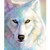 5D Full Round Drill Diamond Painting Kit Rhinestone Painting Kits for Adults and Beginner Embroidery Arts Craft Home Decor White Wolf Head 118x157in 1 Pack by Witfox
