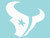 Houston Texans 8x8 White Team Logo Decal