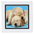 3dRose qs148401 Cockers NappingQuilt Square 10 by 10Inch