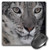 3dRose LLC 8 x 8 x 025 Inches Snow Leopard Mouse Pad mp115361
