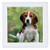3dRose qs40201 Beagle Puppy Quilt Square 10 by 10Inch
