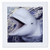 3dRose qs99511 Beluga Whale Delphinapterus LeucasQuilt Square 10 by 10Inch