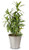 Monarch Abode 19444 Pewter Hand Hammered Garden Pot Planter