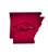 Fan Creations NCAA Arkansas Razorbacks 12 Team Color Logo State
