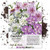 Seed Needs Candytuft Mixture Iberis umbelleta 400 Seeds