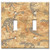 Double Gang Toggle Wall Plate - Dinosaur Fossils
