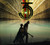 35th Anniversary Tour DVD