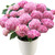 Hydrangea Flower Seeds 20PcsPackage Pink Hydrangea paniculata Vanilla Hydrangea Macrophylla Home Pink Flower Bonsai Seed Pink Hydrangea Flower Seeds