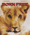 Born Free  Twilight Time 1966 Blu ray