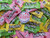 Laffy Taffy  Cherry Banana Sour Apple  2 lbs of Fresh Delicious Assorted Bulk Wrapped Candy with Refrigerator Magnet
