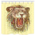 MMOSENN Art Shower Curtain, Exotic Abstract Lion Pattern, 69X70inch Polyester Fabric Anti-Mildew Bath Curtain for Bathroom, Bath Accessories 12 Hooks Included