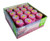 Disney Very Important Princess Dream Party Bubbles 16