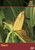 Modern Marvels Corn