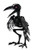 Crazy Bonez Crystal Eyes Skeleton Crow