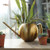 AUNMAS 1000ml Stainless Steel Bonsai Watering Can Indoor Succulent Sprinkle Pot Long Mouth Spout Outdoor Garden Plants Tool for Kids OfficeGold