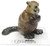 Little Critterz "Paddle" Beaver
