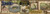 Chesapeake HTM48441B Guppy Wheat Fresh Catch Signs Wallpaper Border