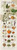 Regional Spices and Culinary Herbs Continental Ziegler & Keating Kitchen Cooking Print Poster 12x36