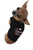 Ruff Ruff and Meow Dog Tank Top Tinkerbell Wannabe Black ExtraSmall